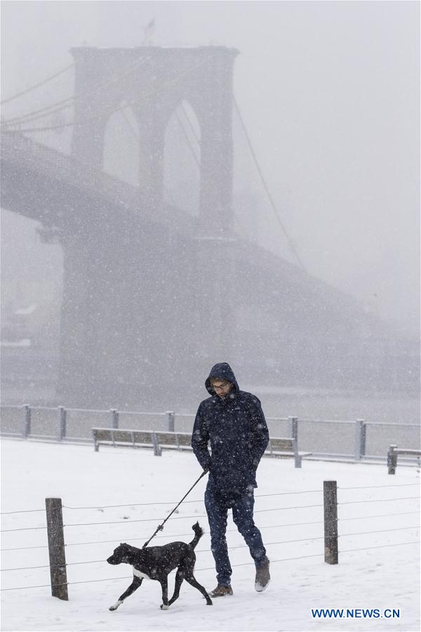 Snow hits New York