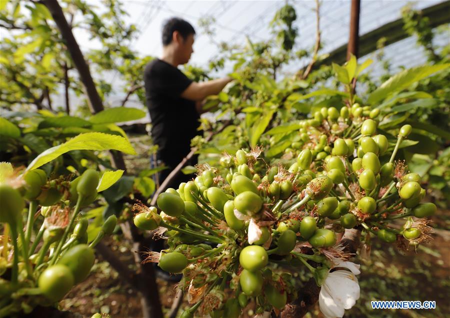 People across China begin to engage in farming in early spring