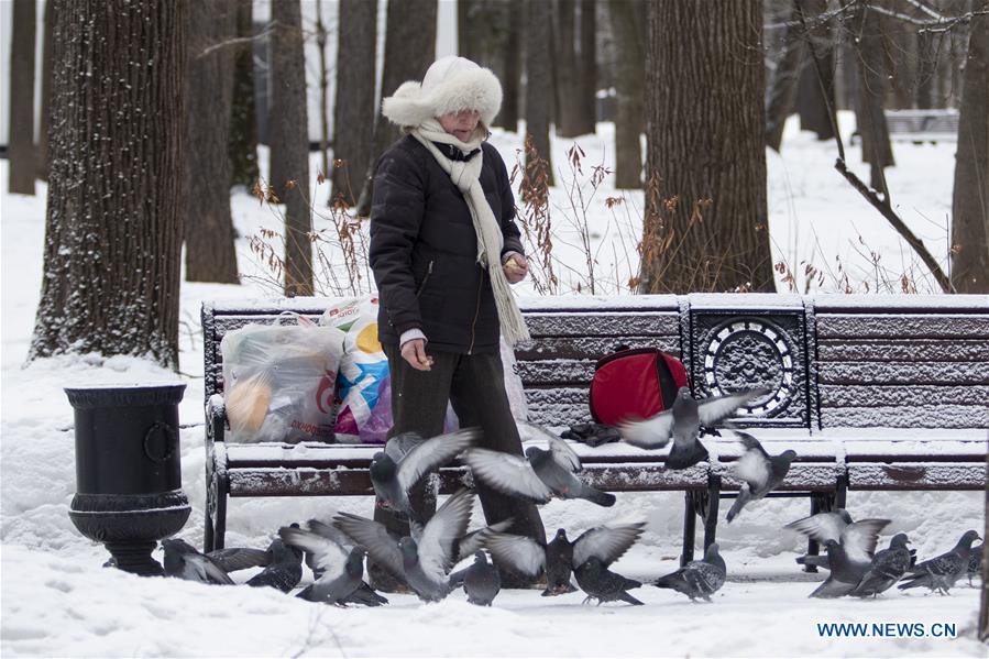 Snow scenery in Moscow