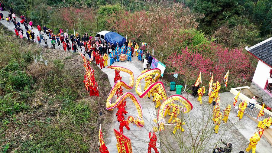 Peach blossom festival held in China's Guangxi to celebrate coming of spring