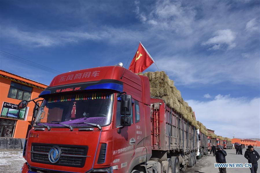 Continuing relief efforts made to help people in blizzard-hit Yushu