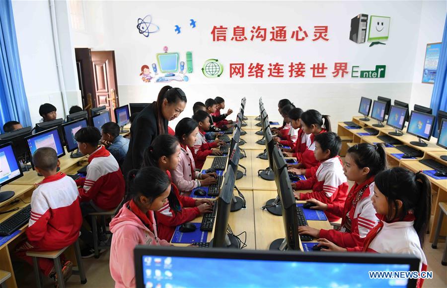 Implementation of rural vitalization strategy accelerated across China