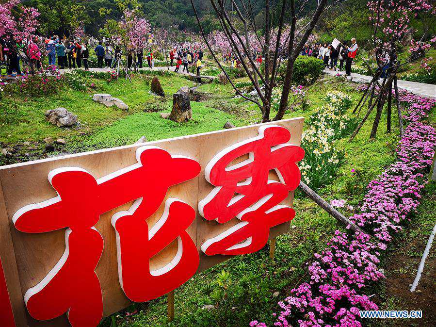 Tourists enjoy scenery of Yangming Mountain Park in Taipei