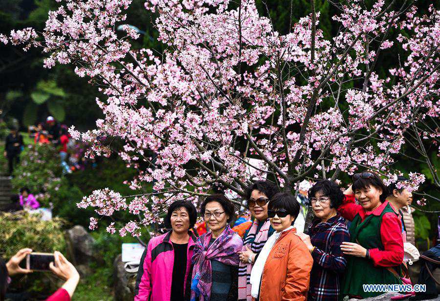 Tourists enjoy scenery of Yangming Mountain Park in Taipei