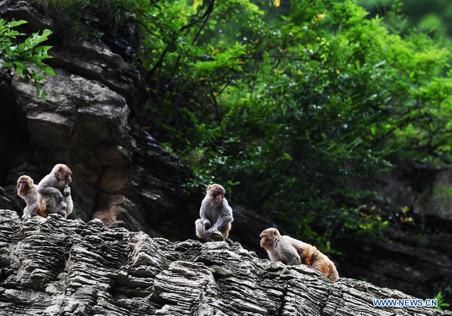 China seeks better coordination between economic, social development, ecological civilization