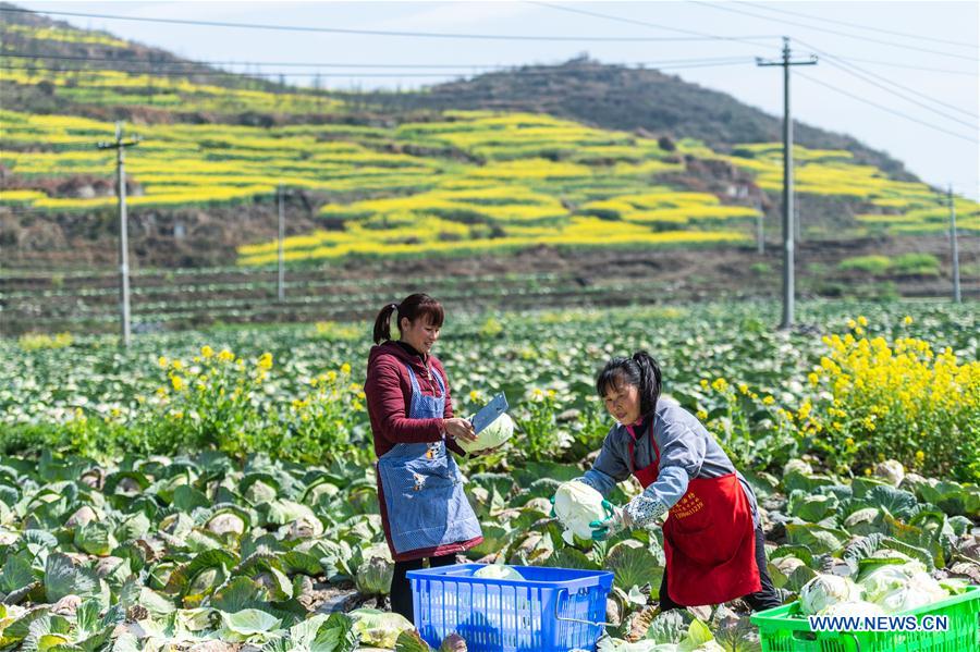 Spring farming across China