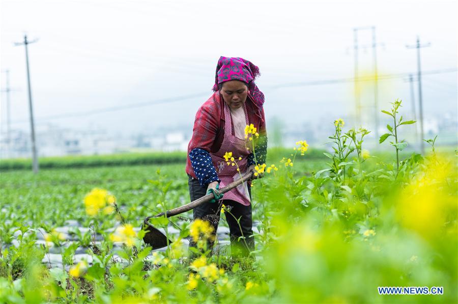 Spring farming across China
