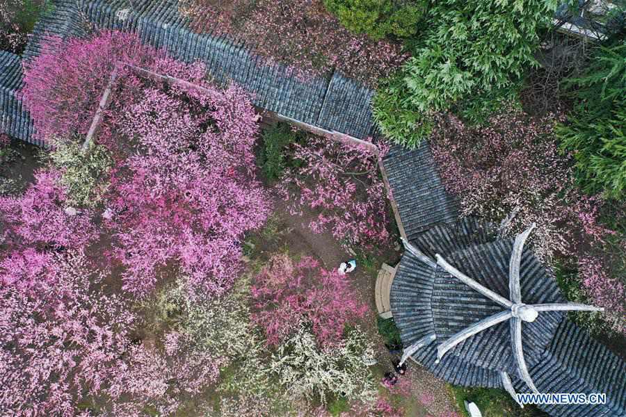 People go outside to enjoy scenery of flowers in many parts of China