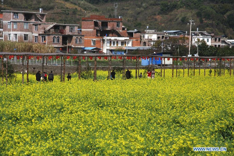 People go outside to enjoy scenery of flowers in many parts of China