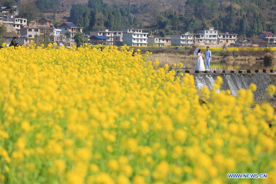 People go outside to enjoy scenery of flowers in many parts of China