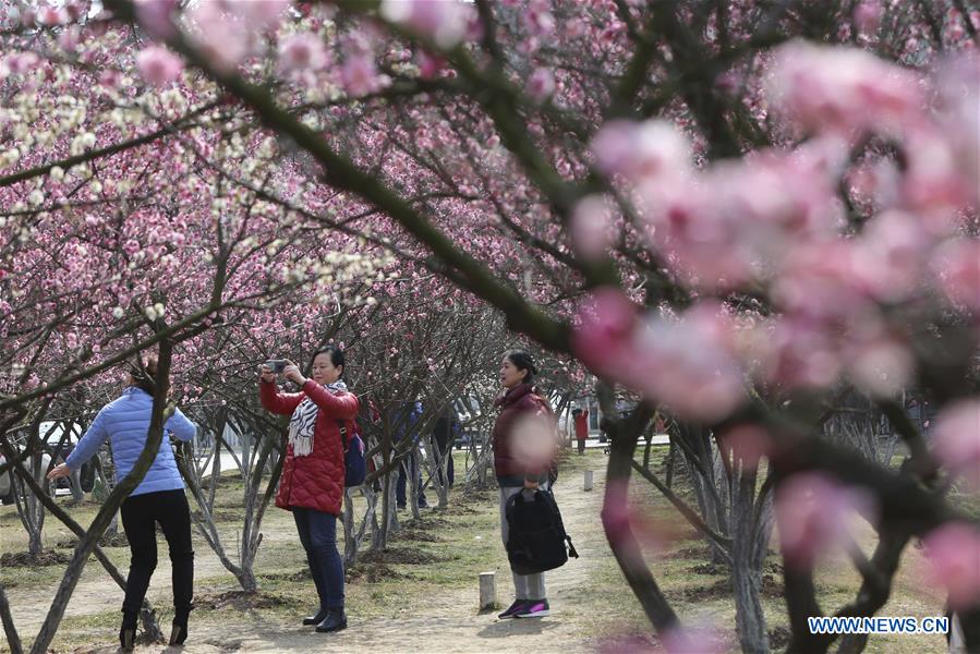 People go outside to enjoy scenery of flowers in many parts of China