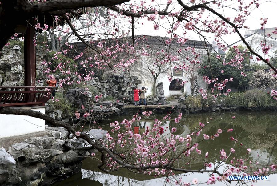 People go outside to enjoy scenery of flowers in many parts of China