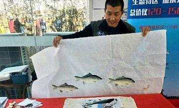 Capturing fish on paper for 18 years