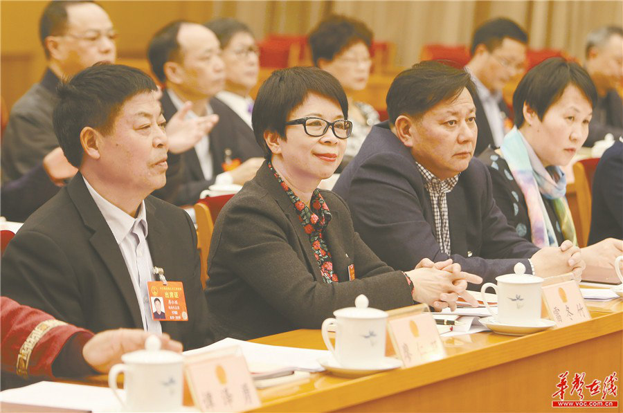 Hunan Delegation at National “Two Sessions”