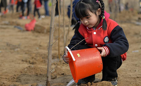 Primary school students take part in tree-planting activity
