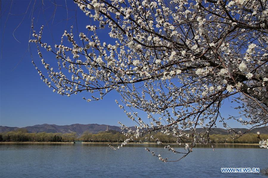 In pics: scenery of Summer Palace in Beijing, China