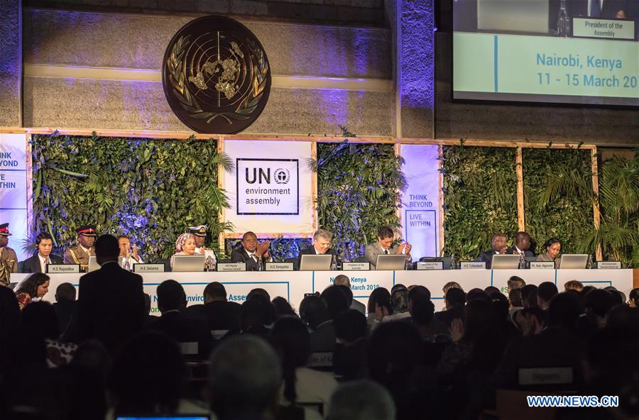 World leaders call for sustainable practices to reverse environmental degradation