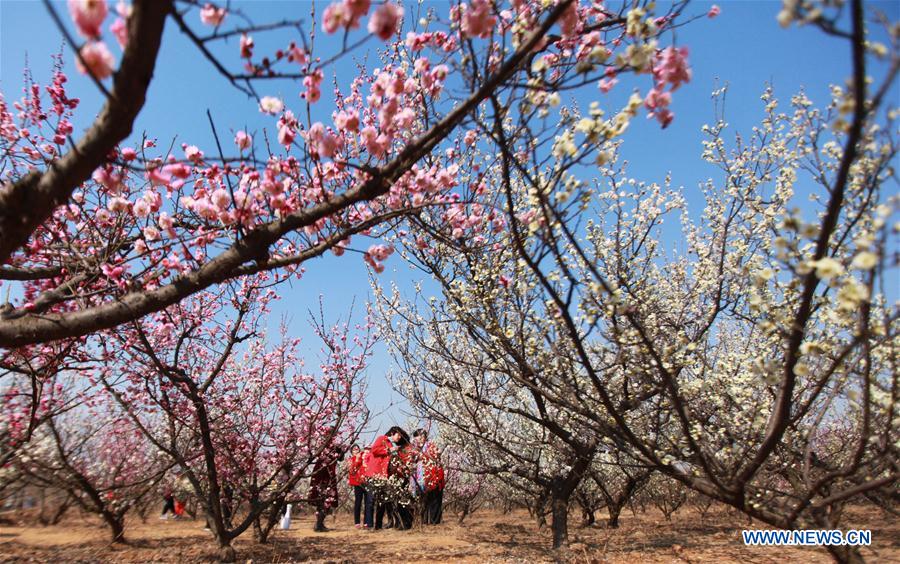 People enjoy scenery of early spring across China