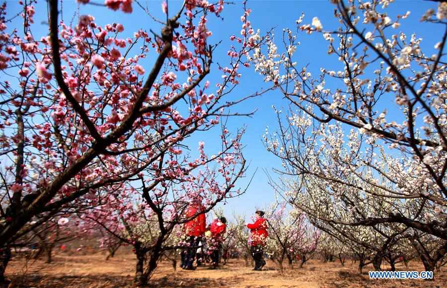 People enjoy scenery of early spring across China