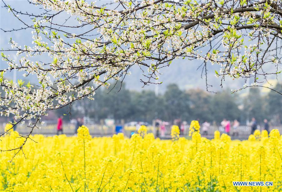 People enjoy scenery of early spring across China