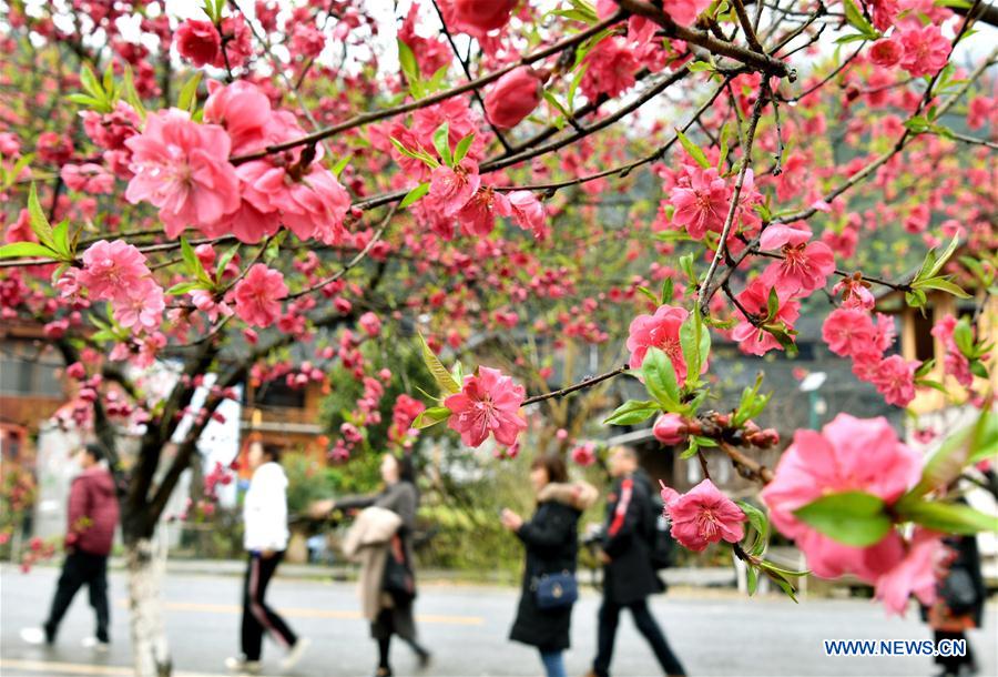 People enjoy scenery of early spring across China