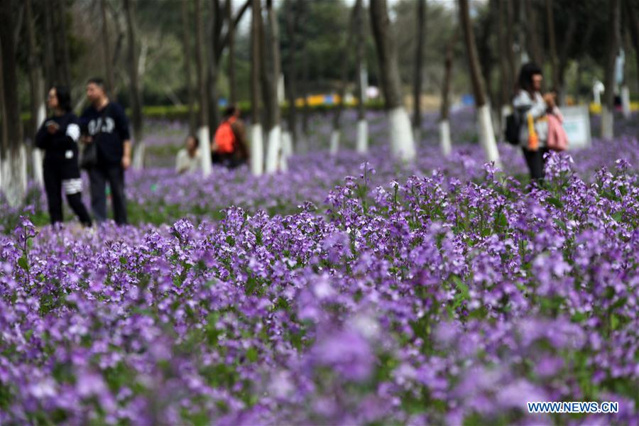 People enjoy scenery of early spring across China