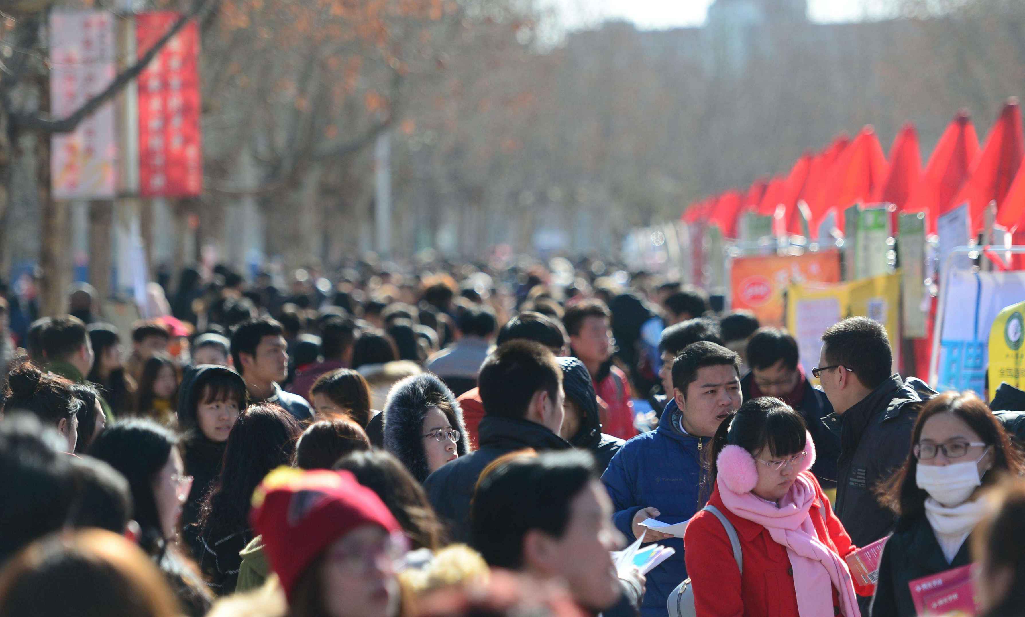 China's job market stable with new features: report