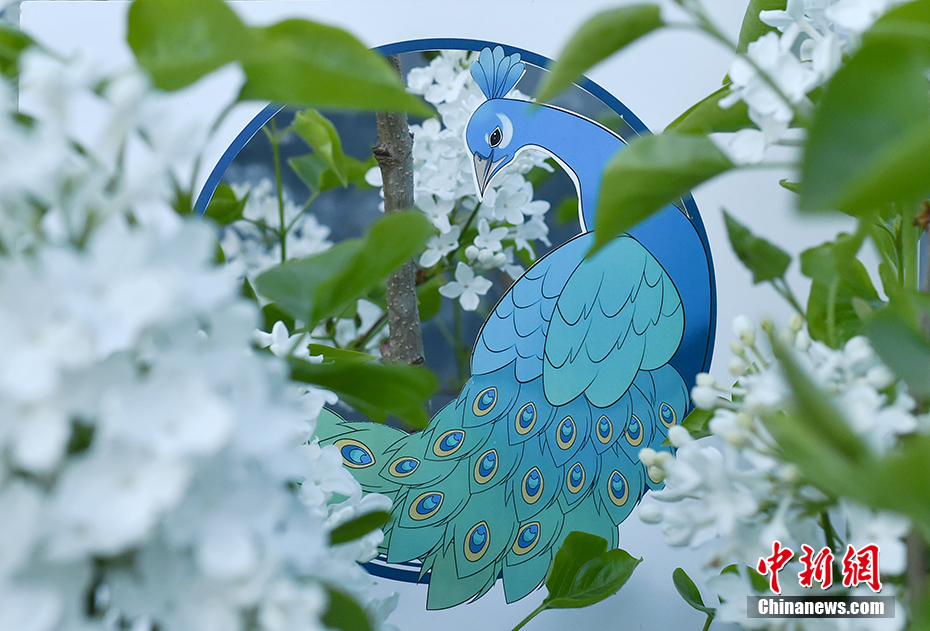 Take a look at beautiful spring through paper cuts