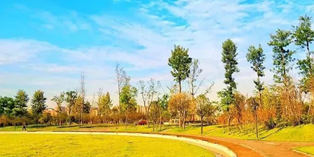 Urban Greenway System in Xiangyang