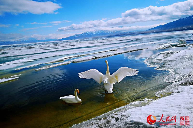 Lake thaws in NW China's Xinjiang