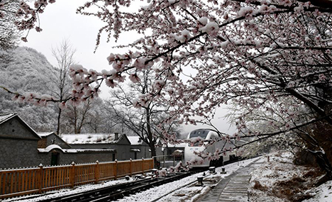 Beijing greets snow in April