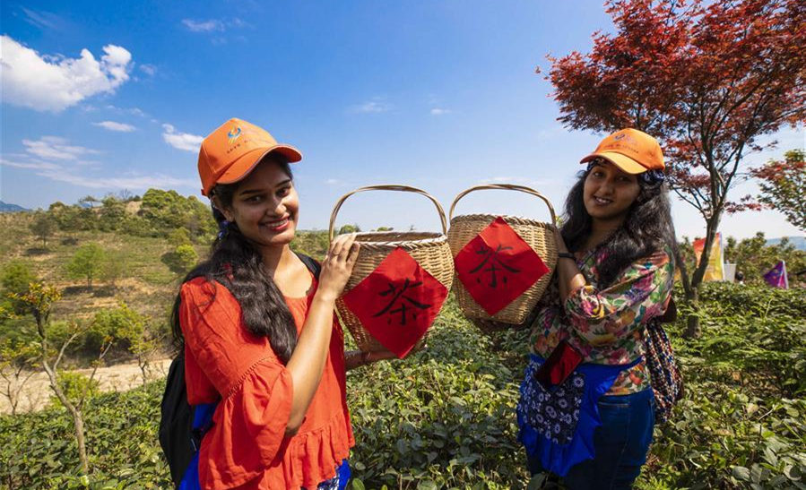 Foreign students experience traditional tea culture in China's Jiangxi