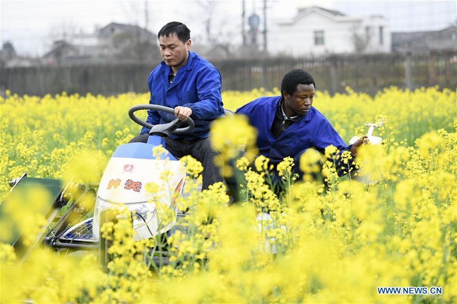 Cameroonian student to apply skills learnt in Changsha to hometown's agriculture production