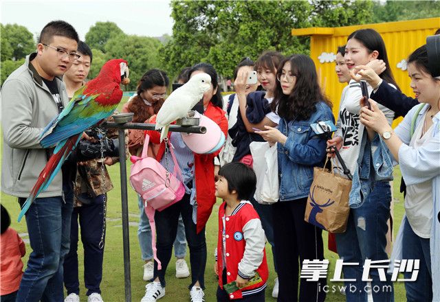 Happy hours in Changsha Ecological Zoo