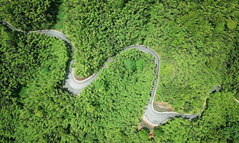 Upgraded mountain roads help people raise income in Chishui