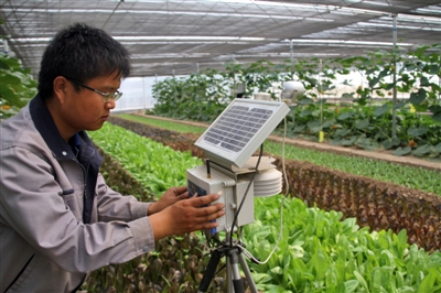 IoT sensors and technologies help Chinese farmers