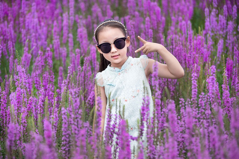 Lavender garden in Tongliao, Inner Mongolia, fascinates tourists with a sea of purple