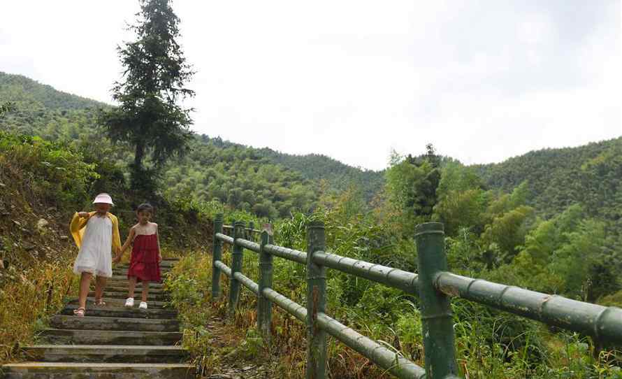 Scenery of Mukeng bamboo forest scenic area in China's Anhui