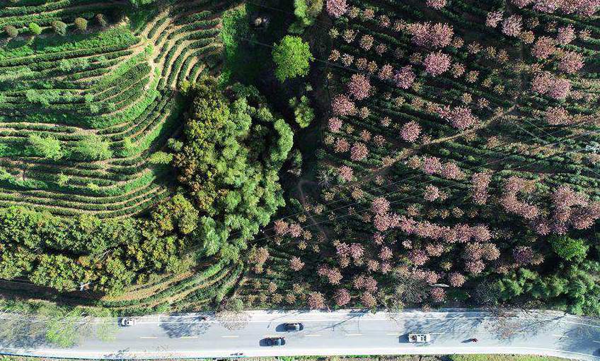 Ankang City in NW China sees rapid growth of eco-friendly industries