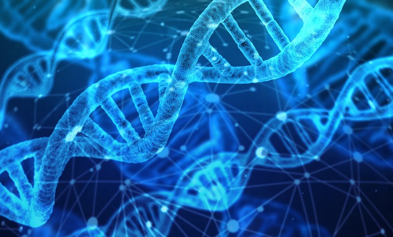 U.S. researchers decode genetic influence over behavior through machine learning