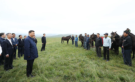 Xi makes inspection tour in Shandan, Gansu