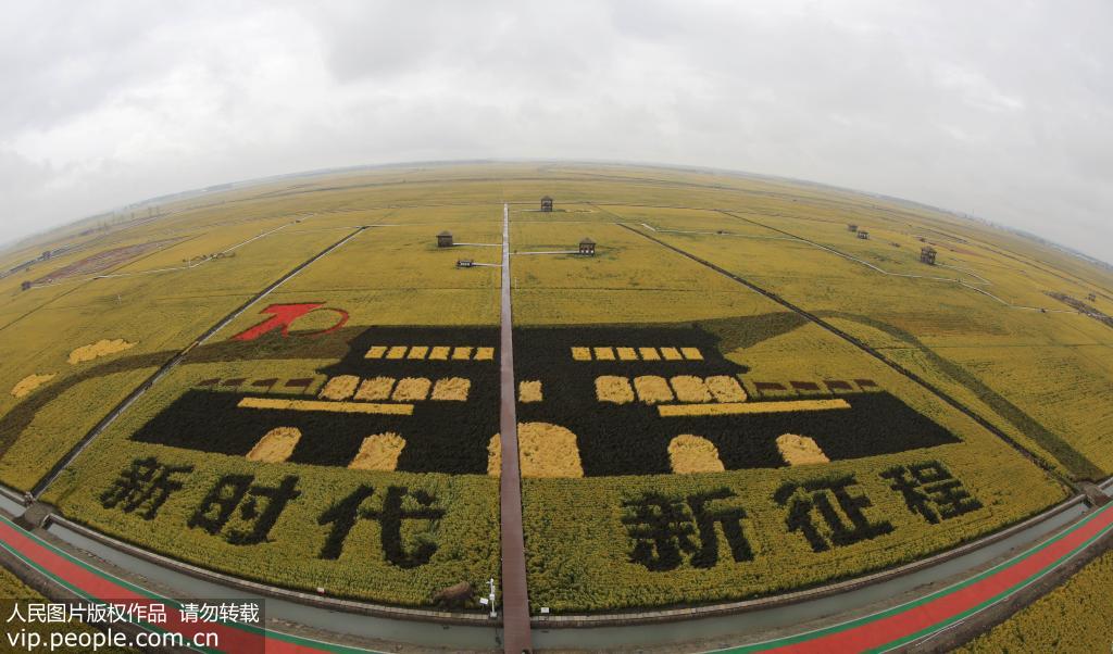 Rice paddy art pictures in NE China’s Heilongjiang enter best viewing period
