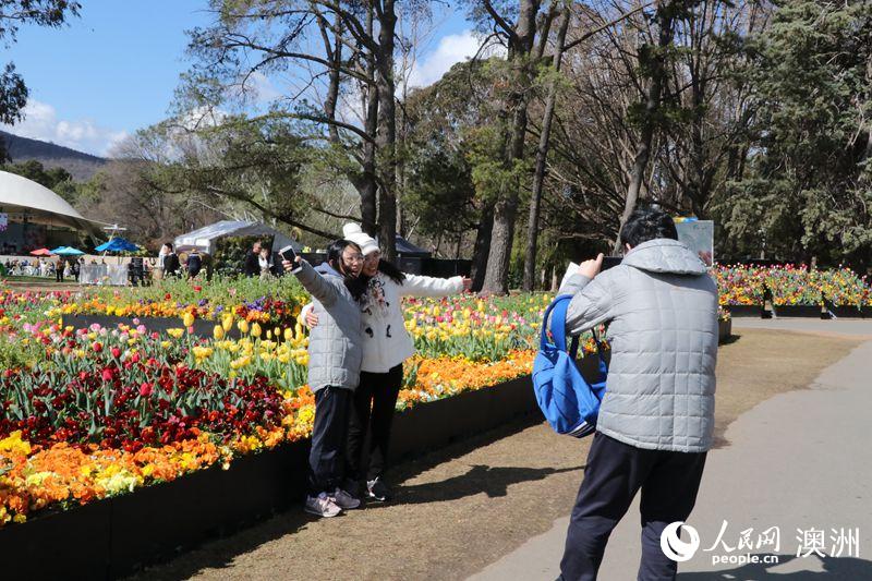 Canberra blooms: Australia’s biggest celebration of spring