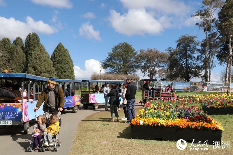 Canberra blooms: Australia’s biggest celebration of spring