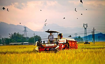 Science and technology innovation drives China’s agricultural development