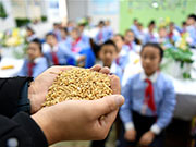 World Food Day marked at primary school in Shijiazhuang, N China's Hebei