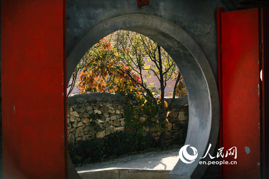 An autumn walk in Baiwangshan Forest Park