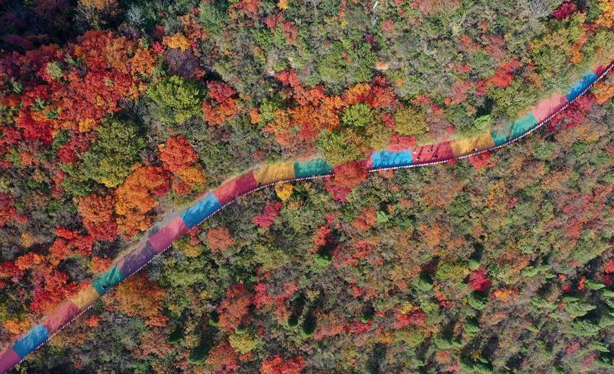 Scenery of red leaves of Changshou Mountain in China's Henan