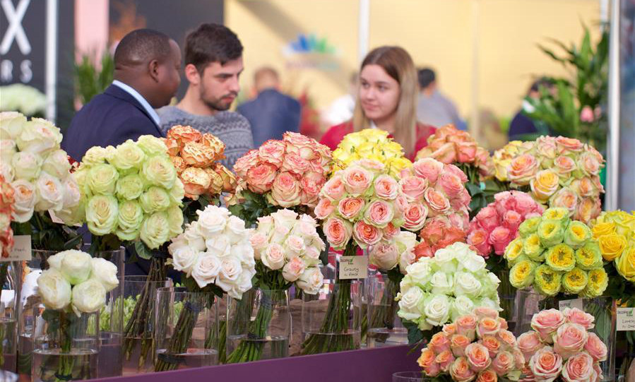 Int'l Floriculture and Horticulture Trade Fair held in Vijfhuizen, the Netherlands