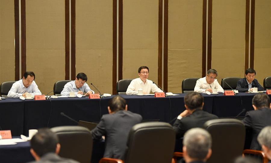 Vice premier stresses facilitating construction of Hainan free trade port
